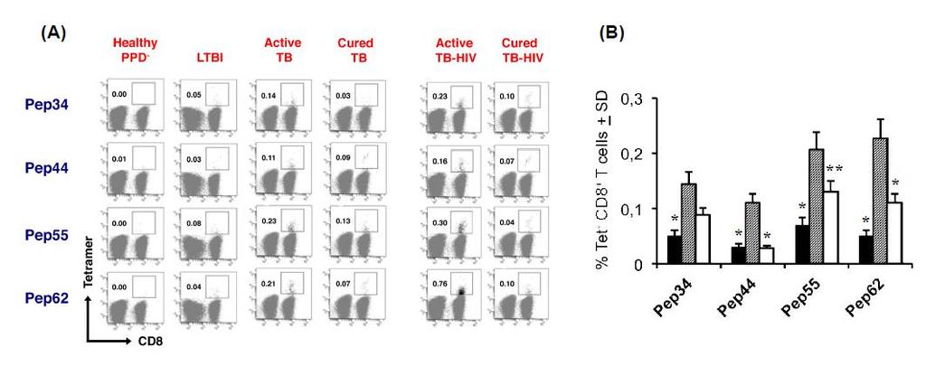 Patients with active pulmonary TB have highest frequency of HLA-E TM+ cells 11 LTBI subjects (black columns) 24 TB