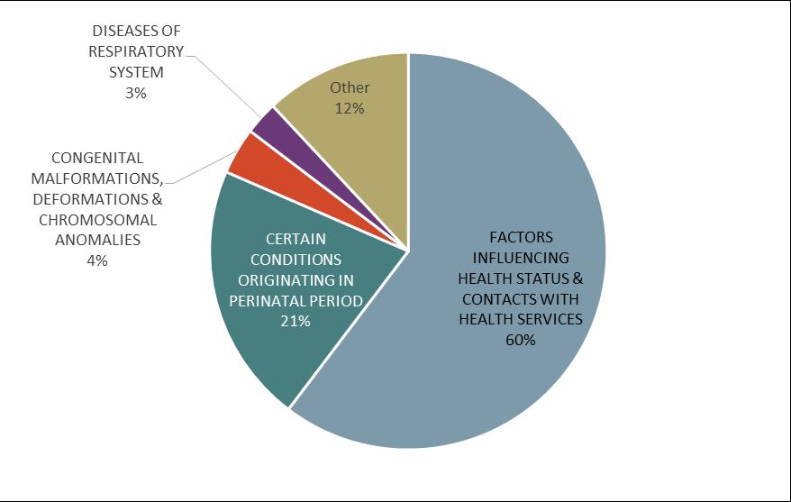 Most Responsible Diagnosis for Acute Inpatient Discharges Ages 0-19 for Kensington-Chinatown Residents, FY 2015/16 Breakdown of Factors Influencing Health
