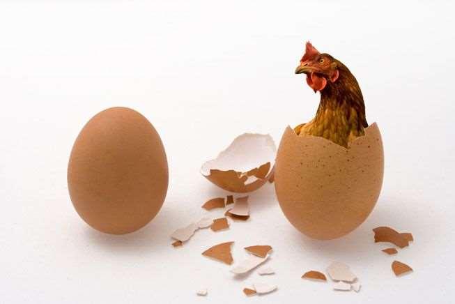 Chicken or Egg Dilemma The difficulty is in identifying those patients in whom AF is simply a coexisting