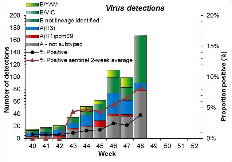 Among the influenza B viruses forwarded to the National Influenza Centre (NIC) in NIPH and further identified, 48 (96%) have belonged to the B/Yamagata/16/1988 lineage and only 2 to the