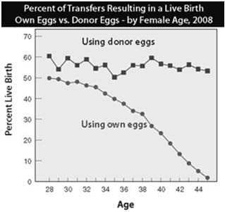 Why doesn t IVF work when the egg count is low?