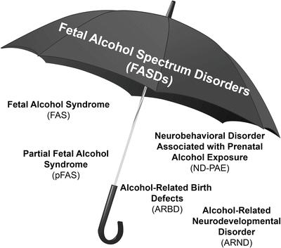 INTRODUCTION A child with Fetal Alcohol Syndrome