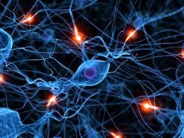 Definition and Cause Abnormal neuronal activity in the brain Causes