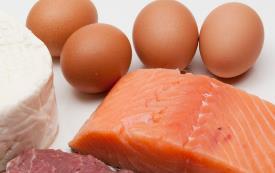 Protein helps to build muscle it makes us strong If you do lots of exercise, you need more protein.