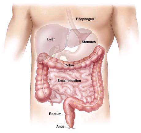 A colonoscopy is an investigation using a flexible, telescopic tube to look at the lining of the large bowel (colon).