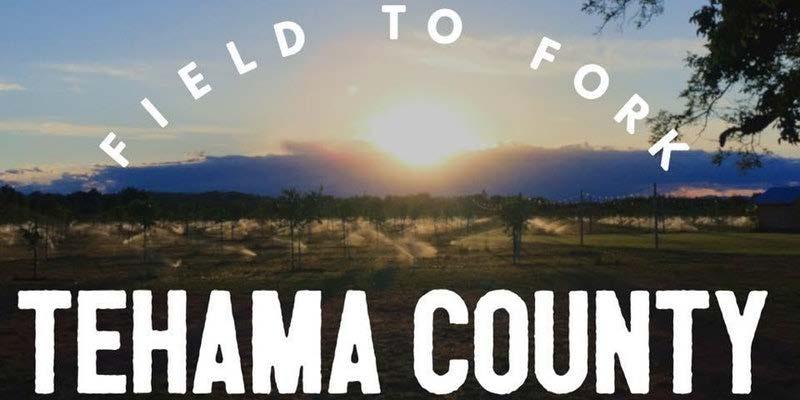 Ongoing Outreach Field to Fork Dinner Tehama County. Hosted by the Tehama Community Food Alliance Sunday, September 10, 2017 5 p.m. 8:30 p.m. Bianchi Orchards The TCF will be providing an educational plug during the Dinner to foster a connection between stewardship, producers, and consumers.