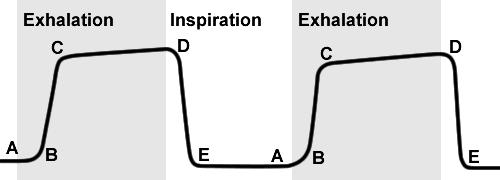 When to use waveform capnography When an endotracheal tube is
