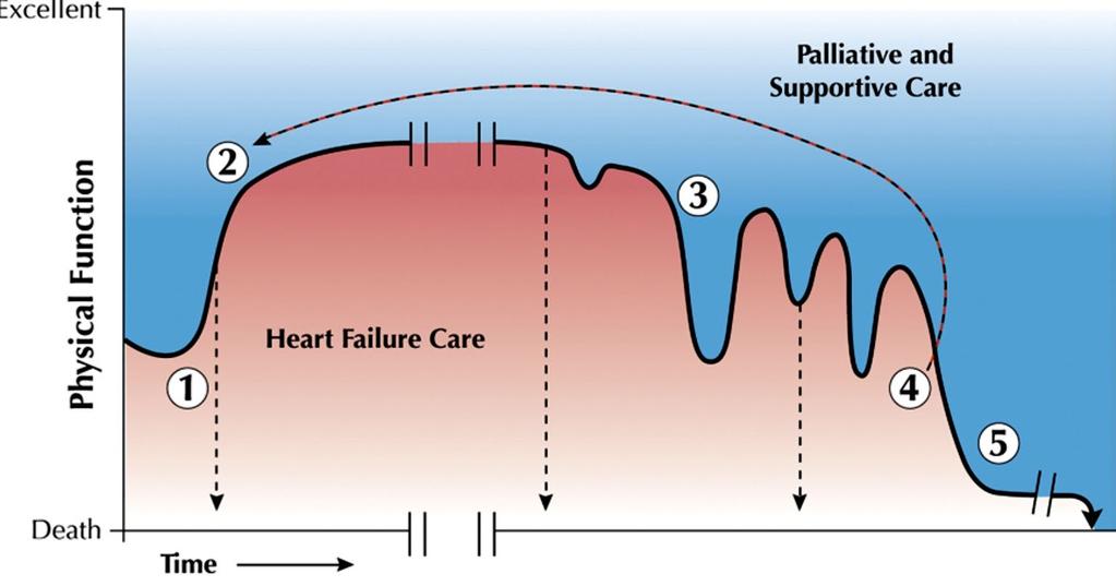 Which Cardiogenic Shock