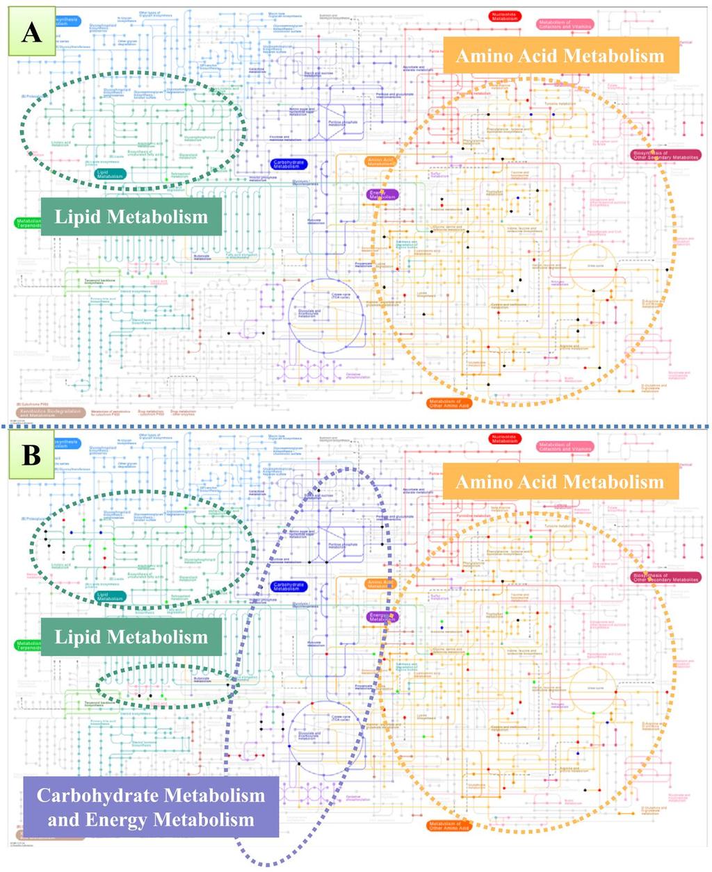 Supplementary Figure S4. Metabolic pathway analysis.