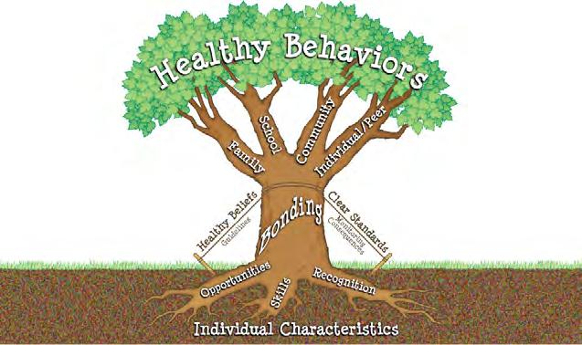 Primary Aim of Healthy Neighbourhoods Examine relationships between common adolescent health and behaviour problems across different