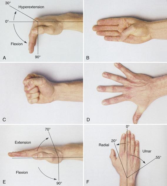 Smooth motions Test Flexion Extension Ulnar deviation Radial deviation Range of Motion Adduction/abduction (thumb)