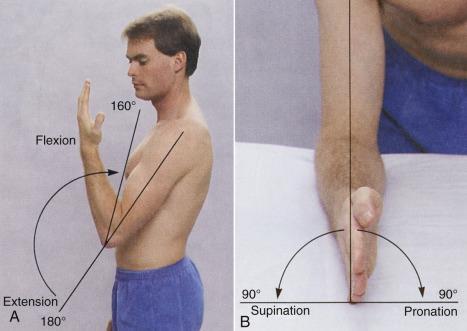 Smooth motions Test Flexion Extension Supination Pronation Range of Motion (From Seidel, H.M. and others.