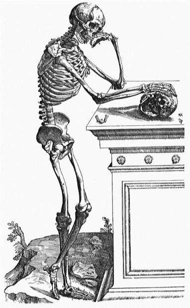 Figure 5. (left) A woodcut from De Fabrica shows a skeleton meditating over a skull. Figure 6.