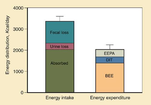 Energy balance Messing et al