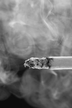 Tobacco Smoke: Role in Carcinogenesis Carcinogenicity of Tobacco Smoke Tobacco smoke contains more than 4000 chemicals More than 60 carcinogens are in cigarette smoke Hecht. Nat Rev Cancer.