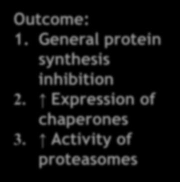 proteasomes