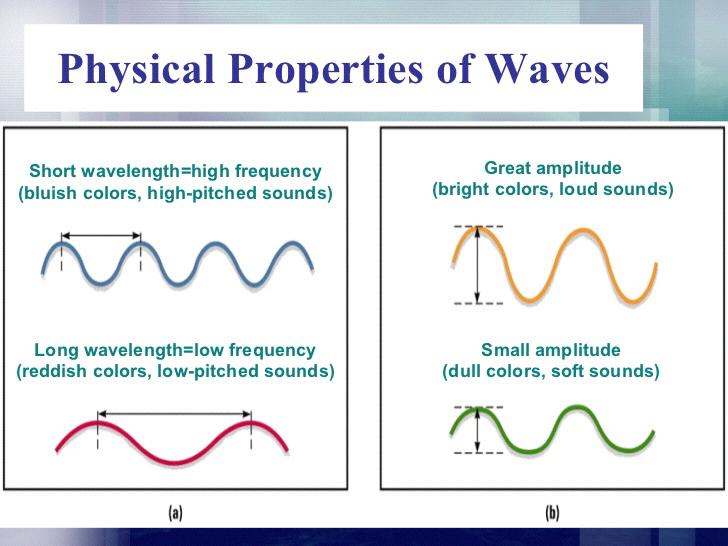 (a) Waves vary in wavelength (the distance between successive peaks). Frequency, the number of complete wavelengths that can pass a point in a given time, depends on the wavelength.