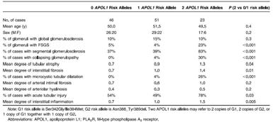 Biopsy findings known to be associated with homozygosity for APOL1 risk alleles HIVAN FSGS in AA Lupus nephritis with collapsing lesions Collapsing