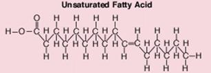 Distinguishing Lipids (FATS) Saturated: carbon to carbon