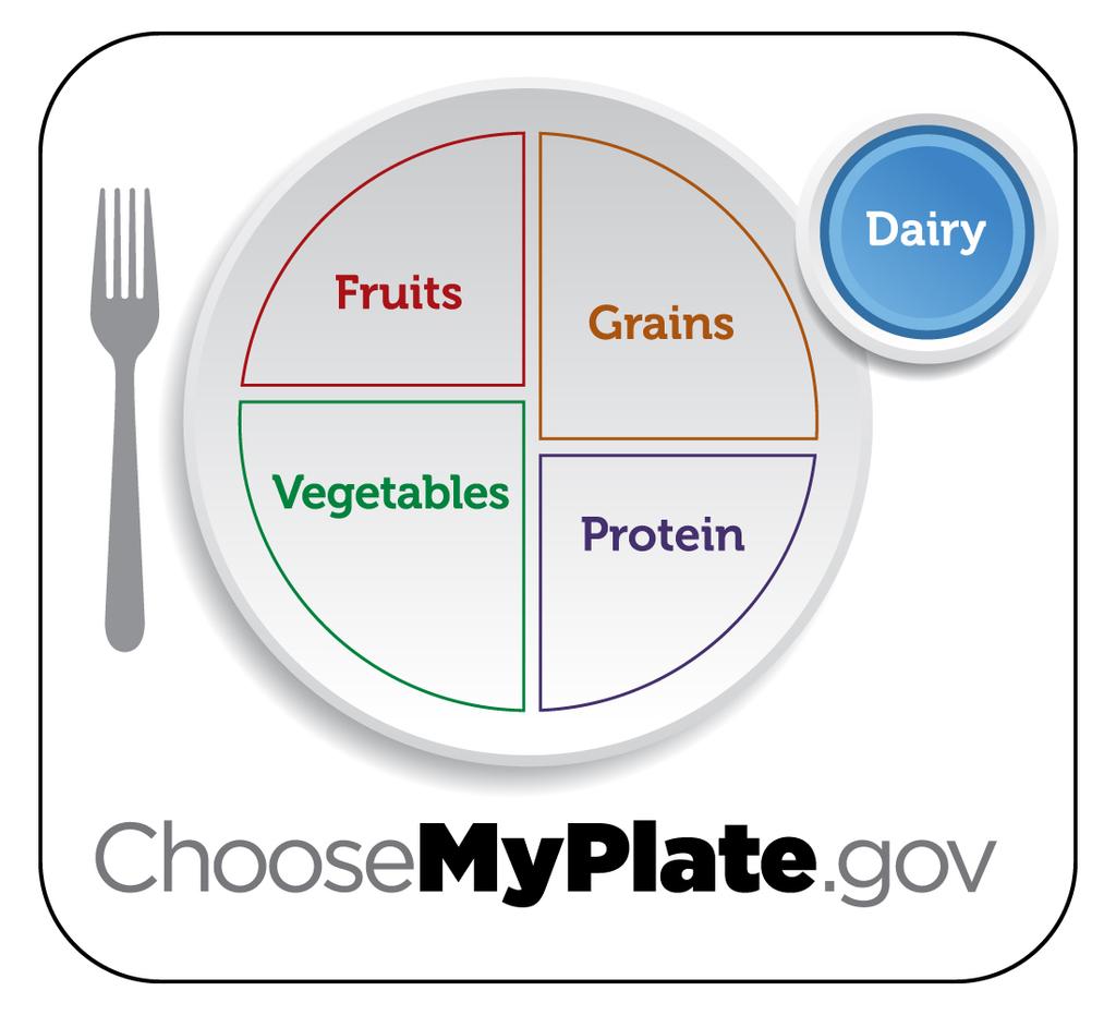 Healthy Eating Plate When making a meal this is what your plate should look like. This plate shows the four food groups.