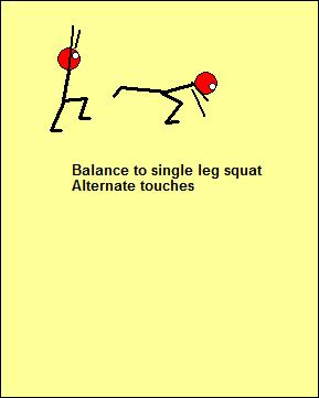 Single leg squat touch the back toe, Single leg squat touch the heel in front, Single leg squat touch the toe to the side, Single leg squat touch the toe