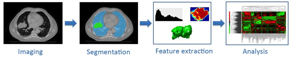 elements Radiomic data aims to provide a comprehensive quantification of the imaging phenotype