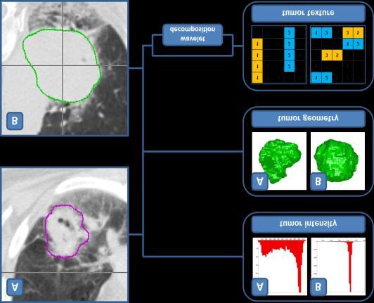 Imaging-Genomics across cancer types I) CT Imaging II)