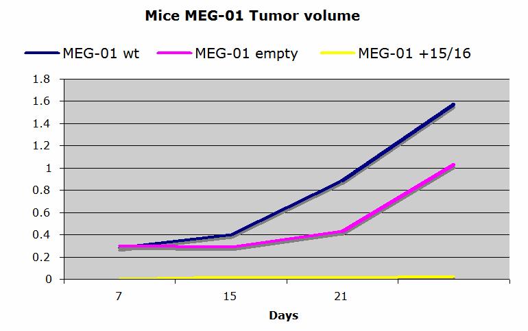 mir-15a/16-1 suppress tumorigenicity MEG-01 is a megakaryocytic leukemic cell line that lacks mir15/16 because of homozygous
