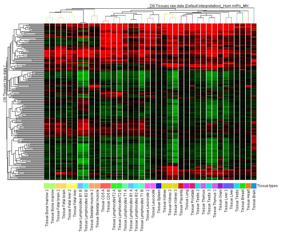Consistency of Tissue specific expression of human mirnas Expressed mirna:mrna
