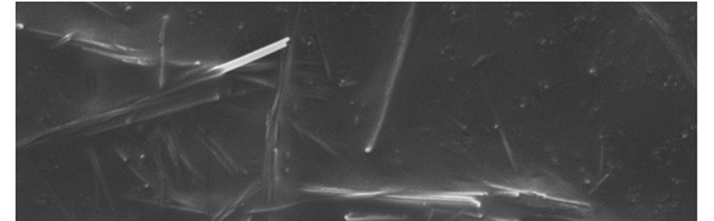 Figure S2. Titanium dioxide nanowires characterization by ultrastructural and EDX analysis.