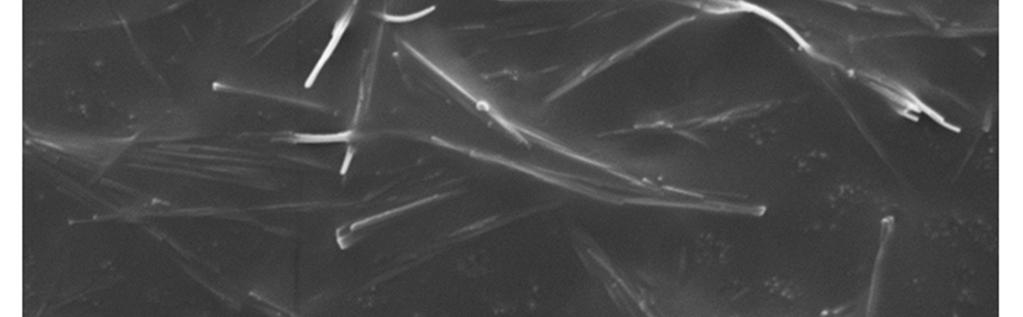 Nanowires were prepared from a mixture of two mineral forms of TiO2, rutile and anatase.