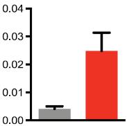 24 MAPK Inhibitor-Induced Changes 1,2 Increased melanoma antigen expression Decreased