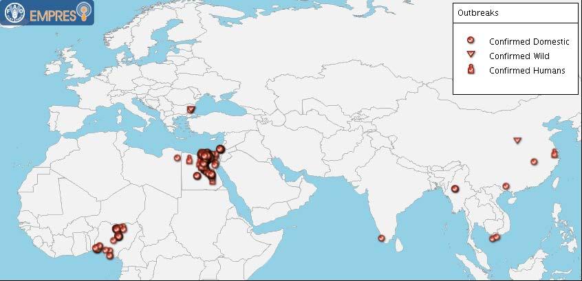 Avian influenza virus A(H5N1) in birds - REMESA AI (H5N1) endemic in Egypt DetecBon of AI (H5N1) in Libya (2014/2015), Israel (2015), West Bank and Gaza (2015) The A(H5N1) virus subclade in Israel,