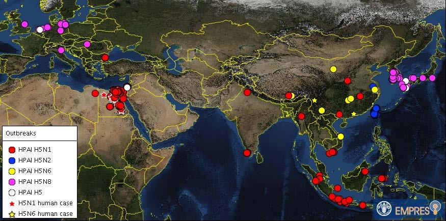 Global context since November 2014 HPAI H5 events increased in numbers and geographical extent H5 viruses re- assortants (N1, N2, N6, N8) Endemic countries reported more outbreaks Previously