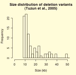 The size distributions of deletion