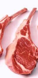 between total red meat intake, white meat intake and CVD/cancer