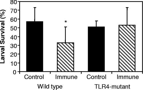 8292 KEREPESI ET AL. INFECT. IMMUN. ti-wsp response was induced by the L3. It was therefore concluded that L3 were a significant source of antigenic material from Wolbachia (21). Wolbachia from O.