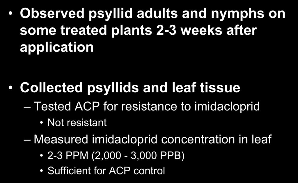 Field Studies Observed psyllid adults and nymphs on some treated plants 2-3 weeks after application Collected psyllids and leaf tissue Tested