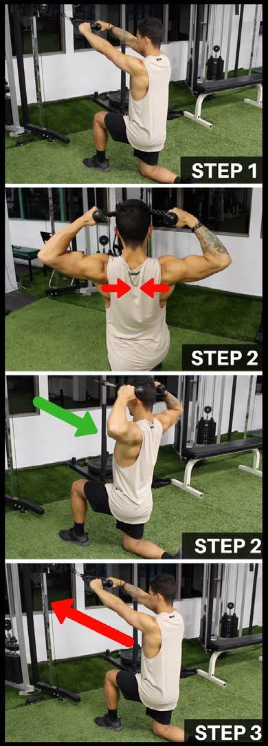 EXERCISE TUTORIALS EXERCISE 6: FACE PULLS (KNEELING) Muscles Worked: Rear Delts, Shoulder/Scapular Stabilizers Step 1 (Set Up): Set up a cable system so that the notch is a couple notches below from