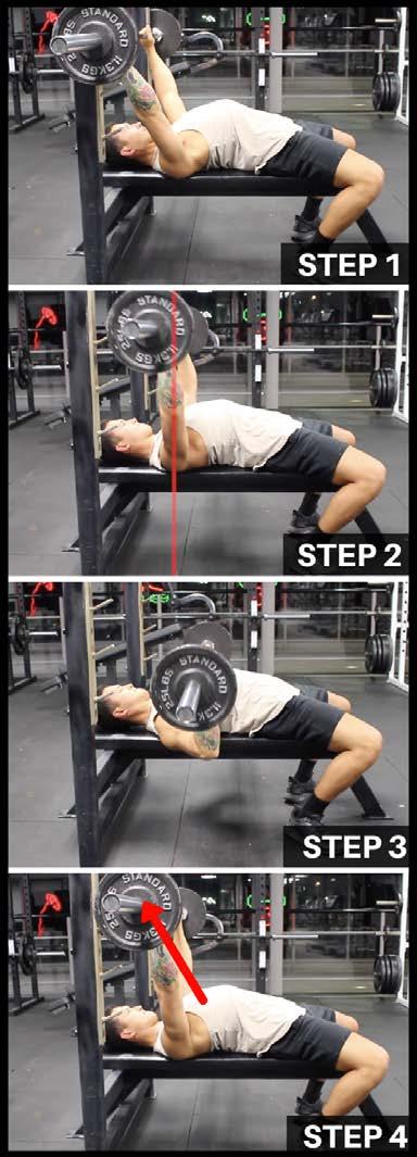 EXERCISE TUTORIALS EXERCISE 1: BENCH PRESS Working Muscles: Chest, Triceps, Deltoids Step 1 (Positioning): Lie down on the bench so that the bar is sitting directly over your eyes.