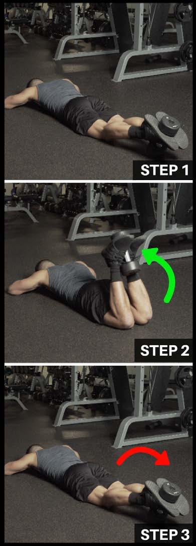 EXERCISE TUTORIALS EXERCISE 4: LYING DUMBBELL LEG CURLS Working Muscles: Hamstrings Step 1 (Set Up): Lay down on the floor with a dumbbell placed up by your feet.