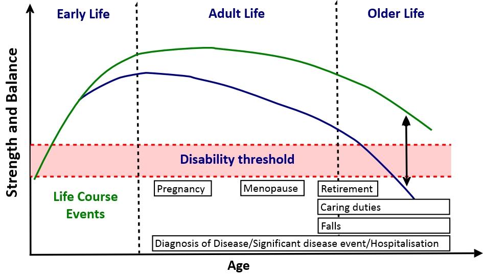 Strength and balance ability over life course and factors impacting on decline with age Skelton DA, Mavroedi A (2018) How do muscle and bone