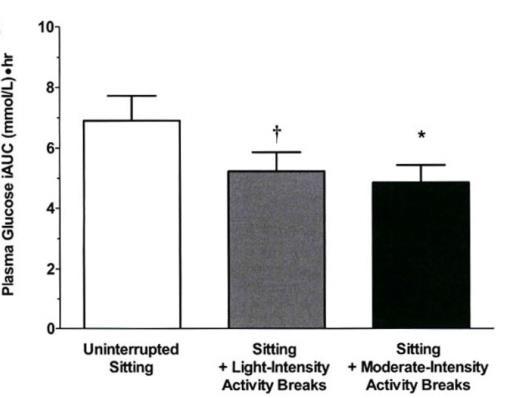 Effects of prolonged sitting