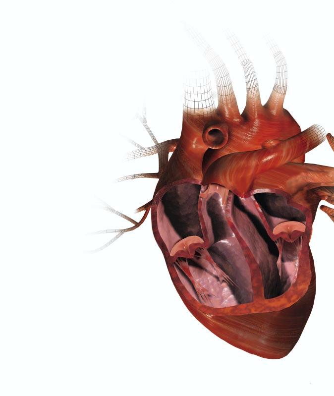 VOLUME 1 NUMBER 2 23 CARDIACSURGERY TODAY Commentary and Analysis on Advances in the Surgical Treatment of Cardiac Disease EDITORS-IN-CHIEF Robert W Emery, St Paul, MN, USA Francesco Musumeci, Rome,