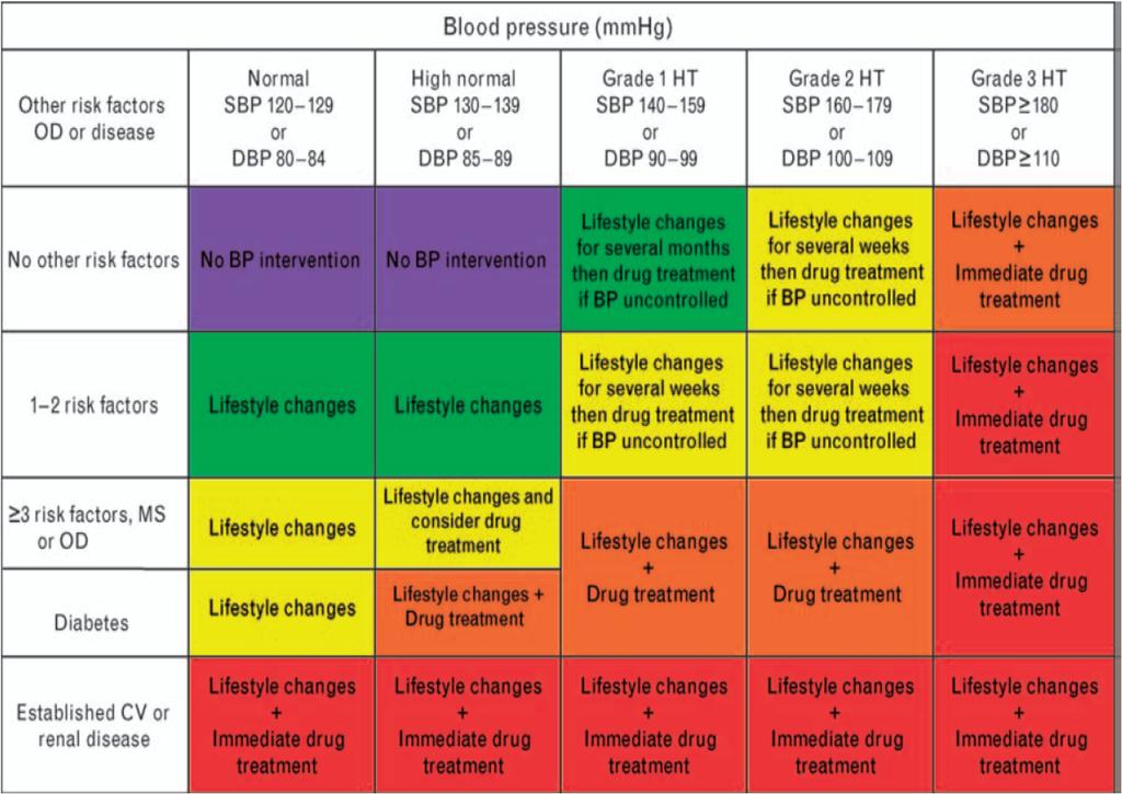 Global risk assessment Promotes intensified BP control Patients with organ damage, established CVD, DM,