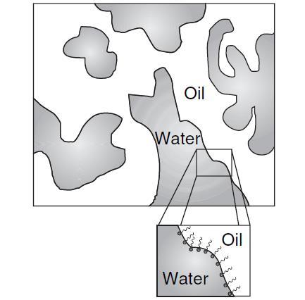 system made up by oil phase, aqueous