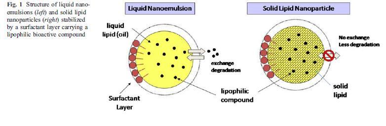Lipid Nanoparticles, LN