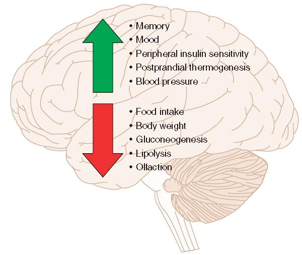 PHYSIOLOGICAL AND BEHAVIORAL EFFECTS OF