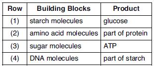 28. The diagram below represents the synthesis of a portion of a complex molecule in an organism. Which row in the chart could be used to identify the building blocks and product in the diagram?