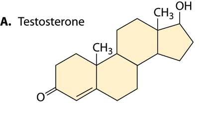 Steroids Cyclic hydrocarbon
